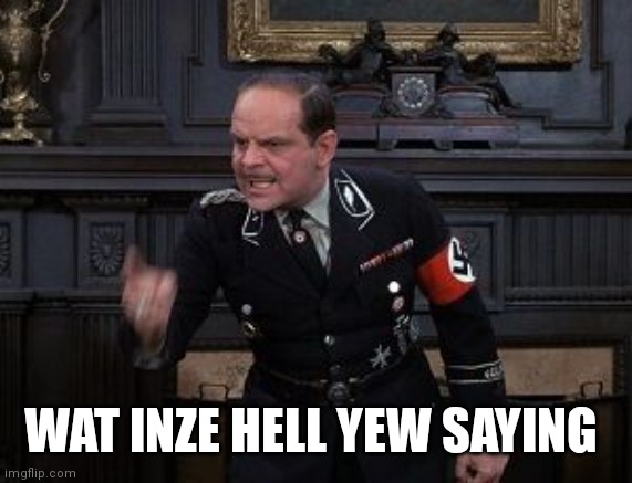 hochsetter | WAT INZE HELL YEW SAYING | image tagged in hochsetter | made w/ Imgflip meme maker