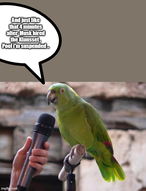 NO free speach starting today on Twitter. | And just like that 4 minutes after  Musk hired the Klausset , Poof i'm suspended .. | image tagged in parrot,nwo | made w/ Imgflip meme maker