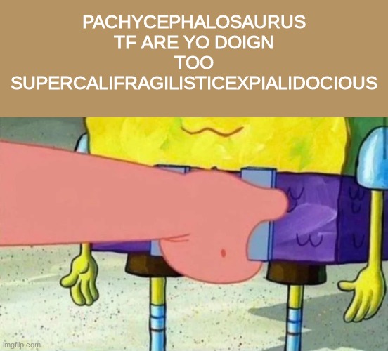 PACHYCEPHALOSAURUS TF ARE YO DOIGN TOO SUPERCALIFRAGILISTICEXPIALIDOCIOUS | made w/ Imgflip meme maker