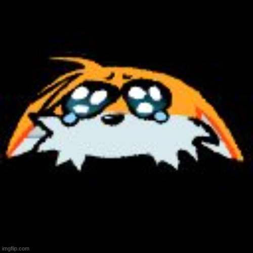 when the the | image tagged in tails sad | made w/ Imgflip meme maker