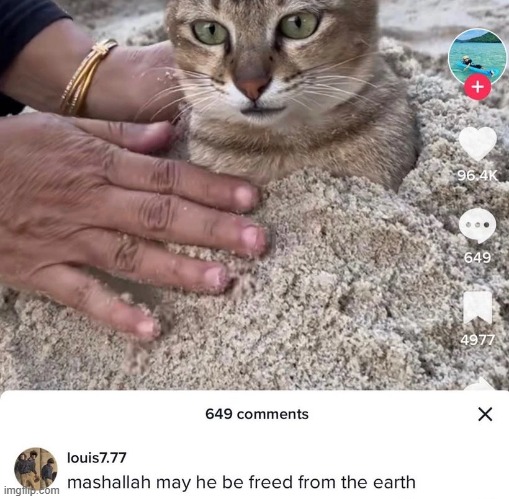 Alhamdalilah he has been freed | made w/ Imgflip meme maker