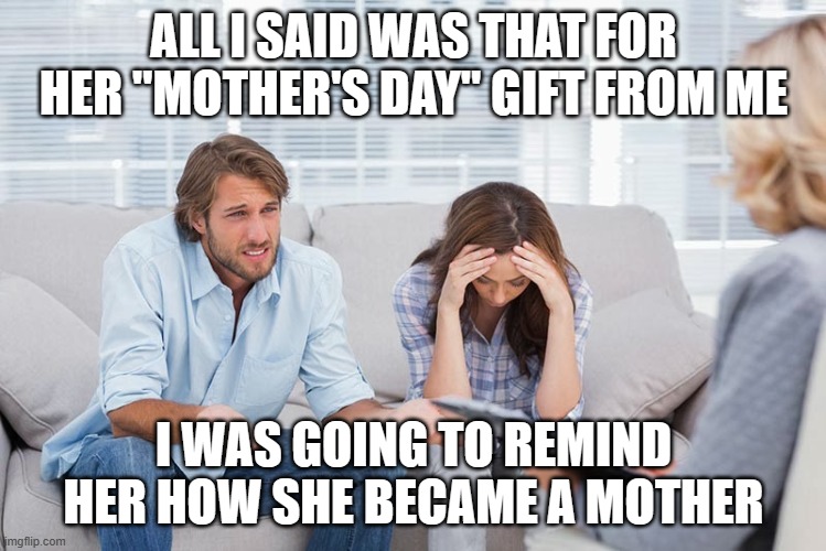 couples therapy | ALL I SAID WAS THAT FOR HER "MOTHER'S DAY" GIFT FROM ME; I WAS GOING TO REMIND HER HOW SHE BECAME A MOTHER | image tagged in couples therapy | made w/ Imgflip meme maker