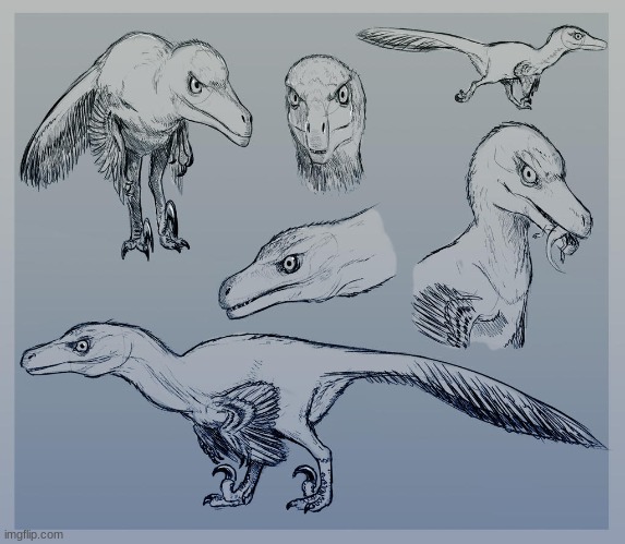Prehistoric Planet's Velociraptor (Art by DaSaurian) | made w/ Imgflip meme maker
