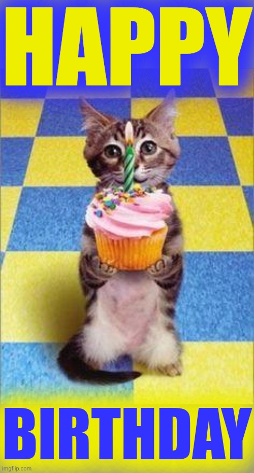 ? | HAPPY BIRTHDAY | image tagged in happy birthday cat | made w/ Imgflip meme maker