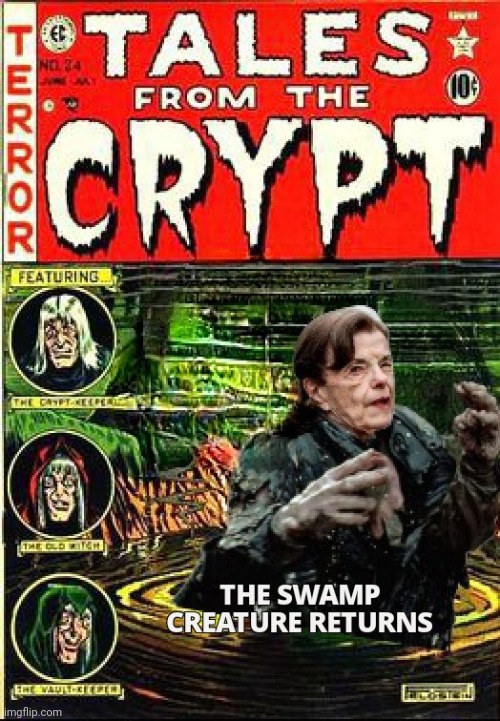 TERM LIMITS | image tagged in dianne feinstein,drain the swamp,creatures,senate,california | made w/ Imgflip meme maker