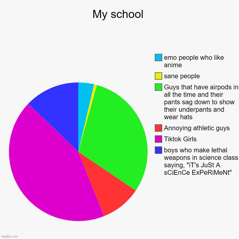 I'm one of the few sane people at my school | My school | boys who make lethal weapons in science class saying, "iT's JuSt A sCiEnCe ExPeRiMeNt", Tiktok Girls, Annoying athletic guys, Gu | image tagged in charts,pie charts | made w/ Imgflip chart maker
