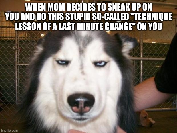 Honestly she's jus gonna have to either be clearer next time or else start asking my permission for me to do this from now on | WHEN MOM DECIDES TO SNEAK UP ON YOU AND DO THIS STUPID SO-CALLED "TECHNIQUE LESSON OF A LAST MINUTE CHANGE" ON YOU | image tagged in annoyed dog,memes,scumbag parents,relatable,dank memes,annoyed | made w/ Imgflip meme maker