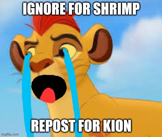 extreme crying kion crybaby | IGNORE FOR SHRIMP; REPOST FOR KION | image tagged in extreme crying kion crybaby | made w/ Imgflip meme maker