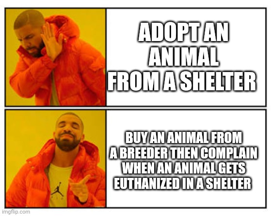 It's almost like there's healthy animals in shelters | ADOPT AN ANIMAL FROM A SHELTER; BUY AN ANIMAL FROM A BREEDER THEN COMPLAIN WHEN AN ANIMAL GETS EUTHANIZED IN A SHELTER | image tagged in no - yes | made w/ Imgflip meme maker