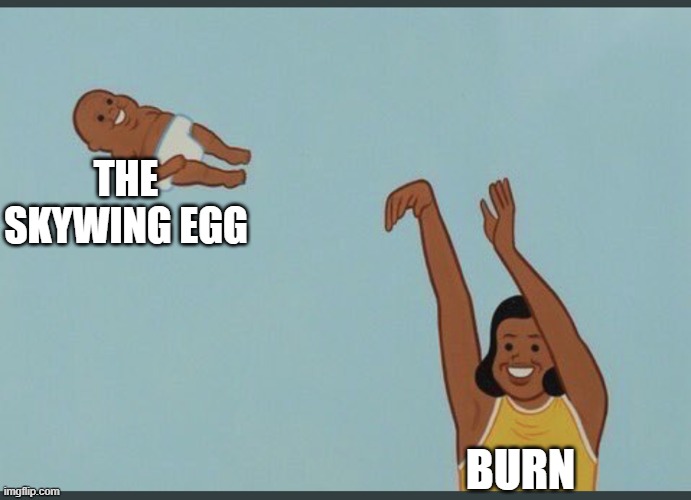 baby yeet | THE SKYWING EGG BURN | image tagged in baby yeet | made w/ Imgflip meme maker