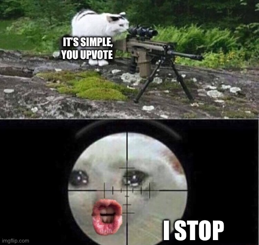 Sniper cat | IT’S SIMPLE, YOU UPVOTE; I STOP | image tagged in sniper cat | made w/ Imgflip meme maker