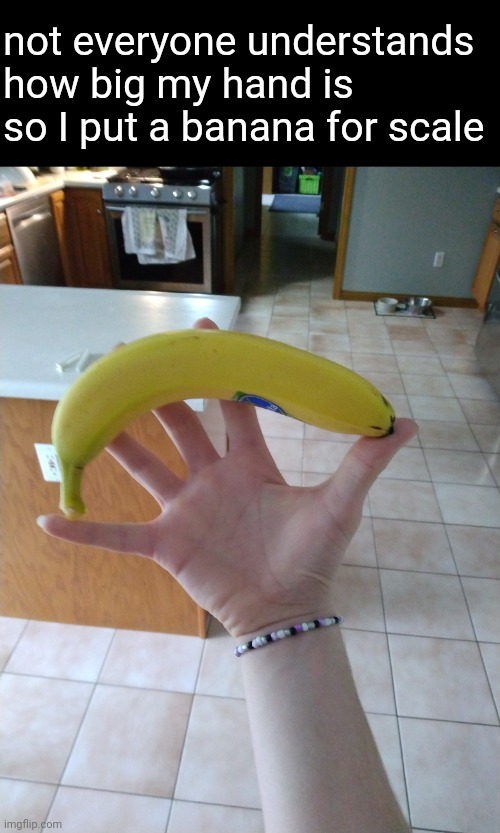Banana for scale | not everyone understands how big my hand is so I put a banana for scale | image tagged in memes,banana,hand,big,size,fruit | made w/ Imgflip meme maker
