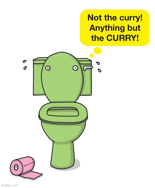 Not the curry | image tagged in toilet,not curry,anything but curry | made w/ Imgflip meme maker