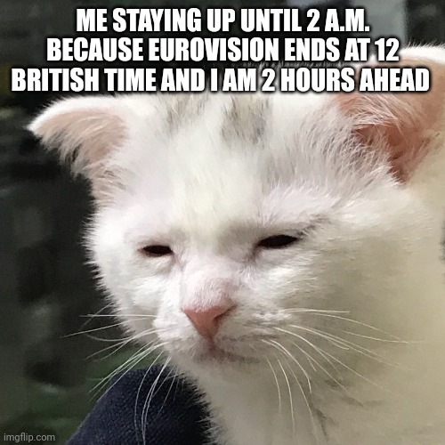 I am awake but at what cost | ME STAYING UP UNTIL 2 A.M. BECAUSE EUROVISION ENDS AT 12 BRITISH TIME AND I AM 2 HOURS AHEAD | image tagged in i'm awake but at what cost,sleep,cat,cats,sleepy,eurovision | made w/ Imgflip meme maker
