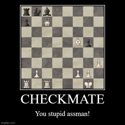 Checkmate | CHECKMATE | You stupid assman! | image tagged in funny,demotivationals | made w/ Imgflip demotivational maker