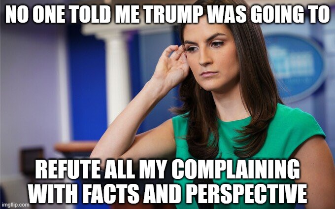 Kaitlyn Collins Confused | NO ONE TOLD ME TRUMP WAS GOING TO; REFUTE ALL MY COMPLAINING WITH FACTS AND PERSPECTIVE | image tagged in kaitlyn collins confused | made w/ Imgflip meme maker