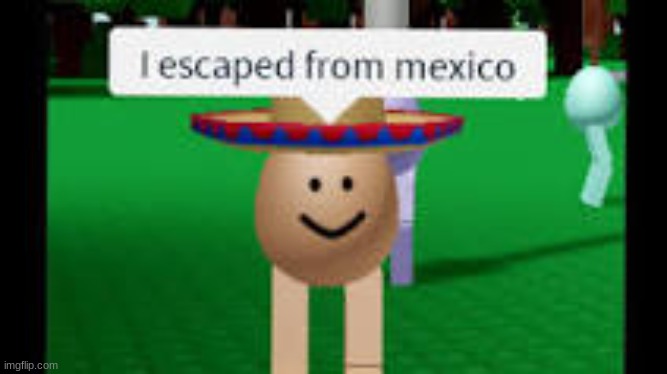 i escaped from mexico meme | made w/ Imgflip meme maker