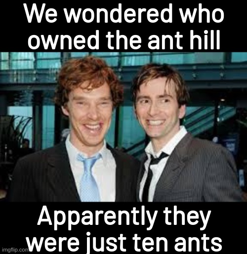 Benedict tenant | We wondered who owned the ant hill; Apparently they were just ten ants | image tagged in benedict tenant,memes,funny,fuuny,eyeroll,bad pun | made w/ Imgflip meme maker