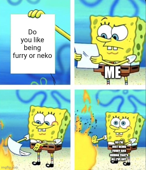 Why people think I'm a neko I'm a human and furry | Do you like being furry or neko; ME; NO I'M JUST BEING FURRY AND HUMAN THAT'S ALL I'VE GOT | image tagged in spongebob yeet | made w/ Imgflip meme maker