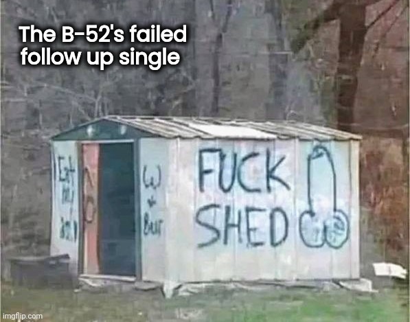 You've heard "Love Shack" . . . | The B-52's failed follow up single | image tagged in b-52s,music joke,pop music,1980's | made w/ Imgflip meme maker
