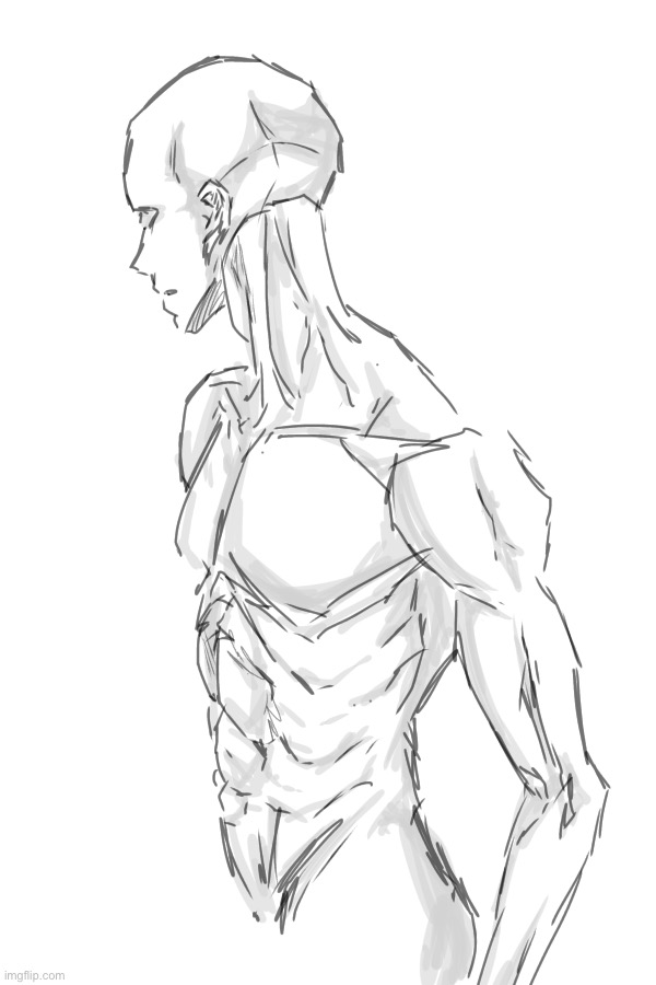 The  | made w/ Imgflip meme maker