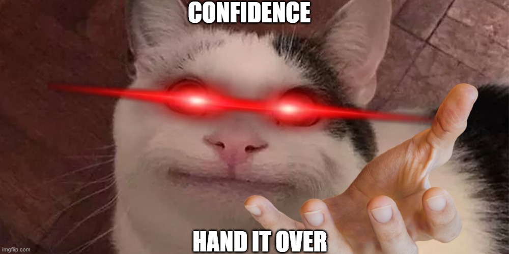 Beluga | CONFIDENCE HAND IT OVER | image tagged in beluga | made w/ Imgflip meme maker