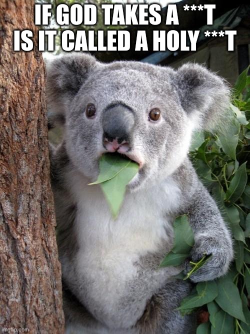 Surprised Koala | IF GOD TAKES A ***T IS IT CALLED A HOLY ***T | image tagged in memes,surprised koala | made w/ Imgflip meme maker