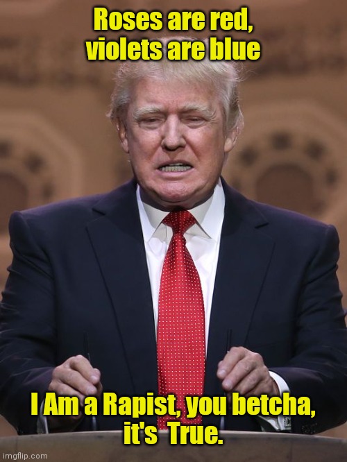 Donald Trump | Roses are red,
violets are blue; I Am a Rapist, you betcha,
it's  True. | image tagged in donald trump | made w/ Imgflip meme maker