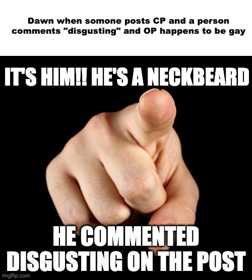 FR | Dawn when somone posts CP and a person comments "disgusting" and OP happens to be gay; IT'S HIM!! HE'S A NECKBEARD; HE COMMENTED DISGUSTING ON THE POST | image tagged in that s him officer | made w/ Imgflip meme maker