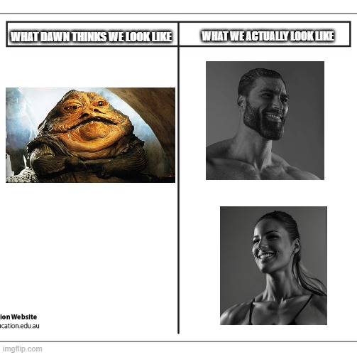 T Chart | WHAT WE ACTUALLY LOOK LIKE; WHAT DAWN THINKS WE LOOK LIKE | image tagged in t chart | made w/ Imgflip meme maker