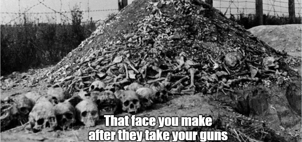 Just look how they treat us NOW | That face you make after they take your guns | image tagged in gun face meme | made w/ Imgflip meme maker