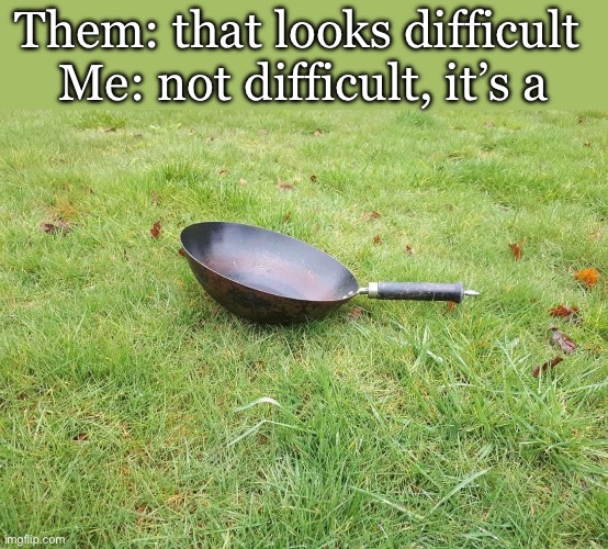 Punny wok | Them: that looks difficult 
Me: not difficult, it’s a | image tagged in wok,park,pun,bad pun,visual pun | made w/ Imgflip meme maker