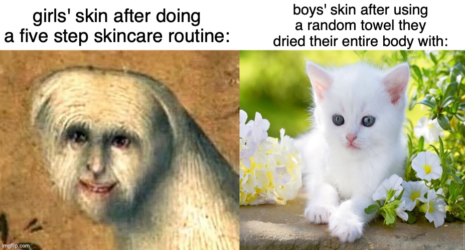 girls' skin after doing a five step skincare routine:; boys' skin after using a random towel they dried their entire body with: | made w/ Imgflip meme maker