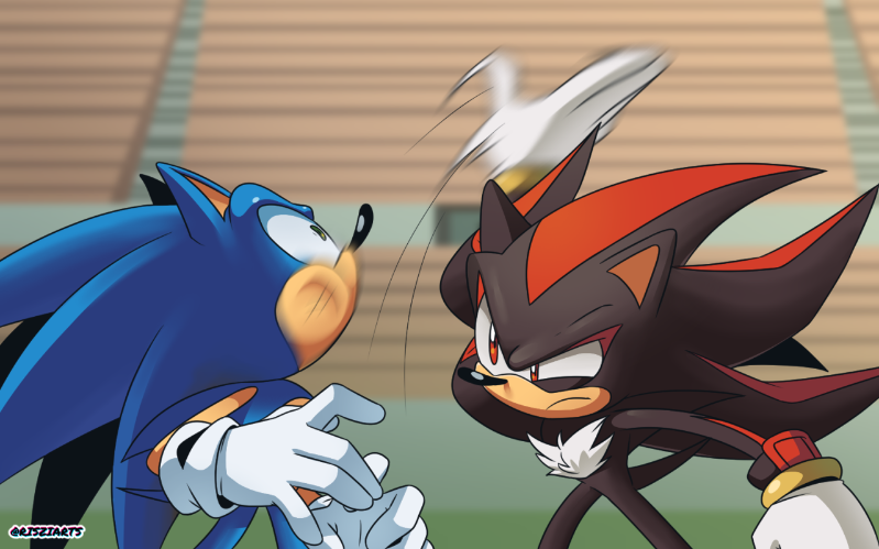 Shadow slaps Sonic, but it's an announcement temp Blank Meme Template