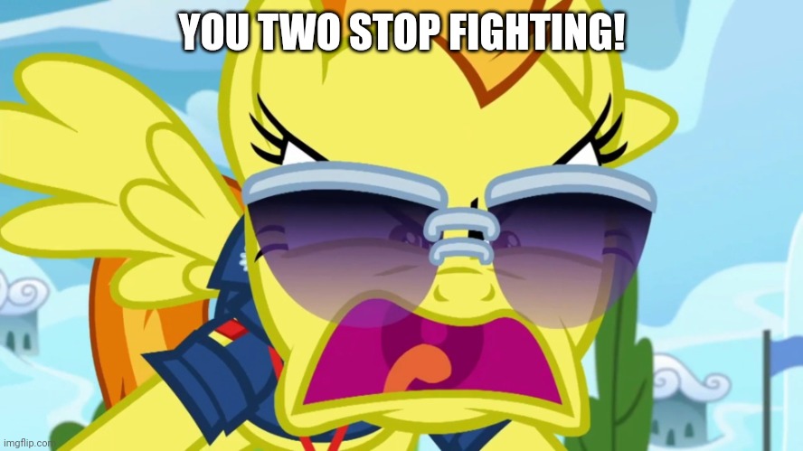 YOU TWO STOP FIGHTING! | made w/ Imgflip meme maker