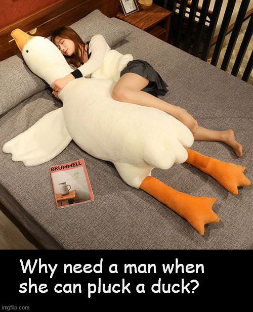 why need a man | Why need a man when she can pluck a duck? | image tagged in memes,dirty joe duck plucker,dark humor | made w/ Imgflip meme maker