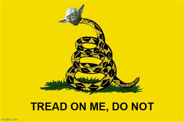 Tread on me, do not | TREAD ON ME, DO NOT | image tagged in dont tread on me,yoda,star wars,star wars yoda,star wars meme | made w/ Imgflip meme maker