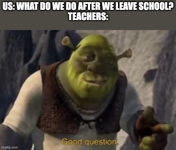 Shrek good question | US: WHAT DO WE DO AFTER WE LEAVE SCHOOL?
TEACHERS: | image tagged in shrek good question | made w/ Imgflip meme maker