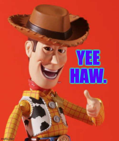 YEE
HAW. | made w/ Imgflip meme maker