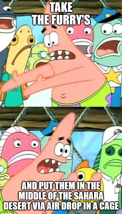 Put It Somewhere Else Patrick | TAKE THE FURRY'S; AND PUT THEM IN THE MIDDLE OF THE SAHARA DESERT VIA AIR DROP IN A CAGE | image tagged in memes,put it somewhere else patrick | made w/ Imgflip meme maker