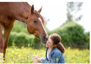 Funny horse Blank Meme Template