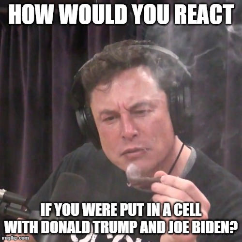 How would you react? How would it play out? | HOW WOULD YOU REACT; IF YOU WERE PUT IN A CELL WITH DONALD TRUMP AND JOE BIDEN? | image tagged in what if musk,donald trump,joe biden,prison cell | made w/ Imgflip meme maker