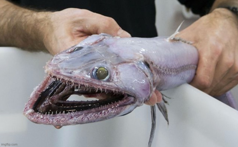 Reasons why the ocean is scarier then space part one | made w/ Imgflip meme maker