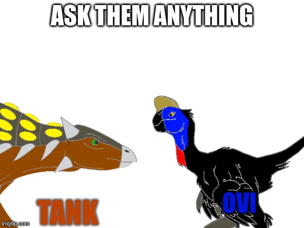 ASK THEM ANYTHING; OVI; TANK | made w/ Imgflip meme maker