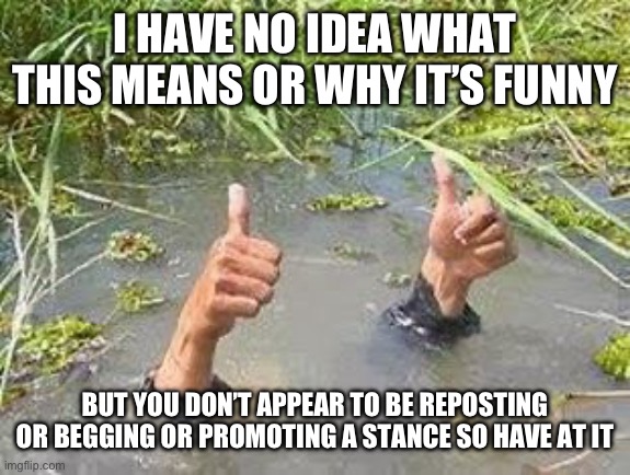 FLOODING THUMBS UP | I HAVE NO IDEA WHAT THIS MEANS OR WHY IT’S FUNNY BUT YOU DON’T APPEAR TO BE REPOSTING OR BEGGING OR PROMOTING A STANCE SO HAVE AT IT | image tagged in flooding thumbs up | made w/ Imgflip meme maker