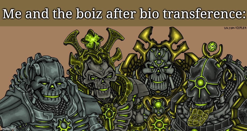 Me and the necrons | Me and the boiz after bio transference: | image tagged in me and the necrons | made w/ Imgflip meme maker