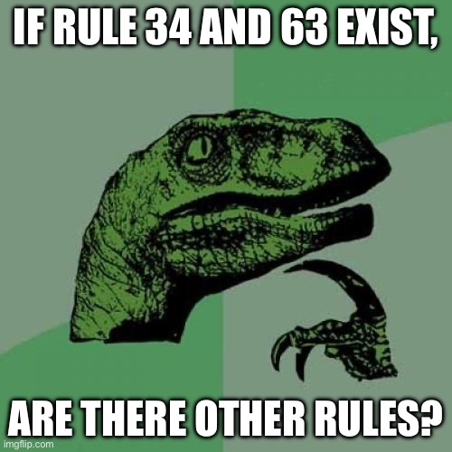 Philosoraptor | IF RULE 34 AND 63 EXIST, ARE THERE OTHER RULES? | image tagged in memes,philosoraptor | made w/ Imgflip meme maker