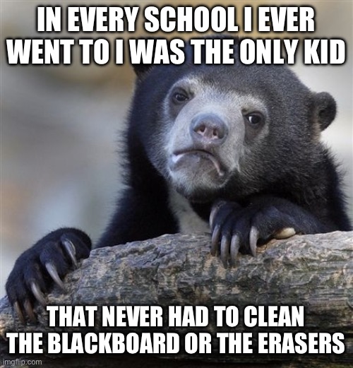 True Story. | IN EVERY SCHOOL I EVER WENT TO I WAS THE ONLY KID; THAT NEVER HAD TO CLEAN THE BLACKBOARD OR THE ERASERS | image tagged in memes,confession bear,true story bro,real life | made w/ Imgflip meme maker