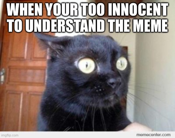 Scared Cat | WHEN YOUR TOO INNOCENT TO UNDERSTAND THE MEME | image tagged in scared cat | made w/ Imgflip meme maker