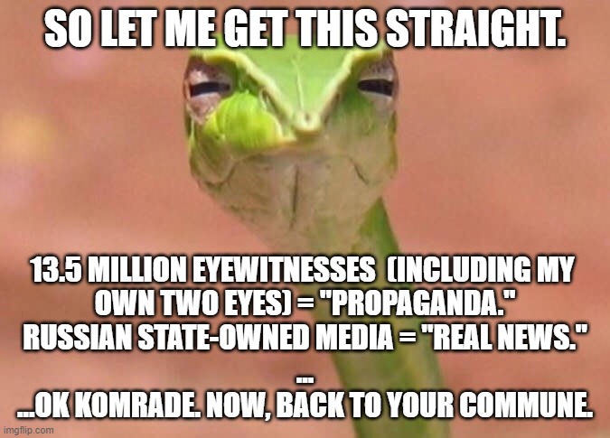 Skeptical snake | SO LET ME GET THIS STRAIGHT. 13.5 MILLION EYEWITNESSES  (INCLUDING MY 
OWN TWO EYES) = "PROPAGANDA."

RUSSIAN STATE-OWNED MEDIA = "REAL NEWS."
...
...OK KOMRADE. NOW, BACK TO YOUR COMMUNE. | image tagged in skeptical snake | made w/ Imgflip meme maker